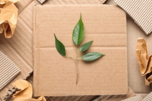 Alla scoperta dell’imballaggio “verde”