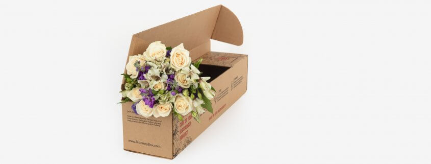 Scatole di cartone per trasportare fiori e piante